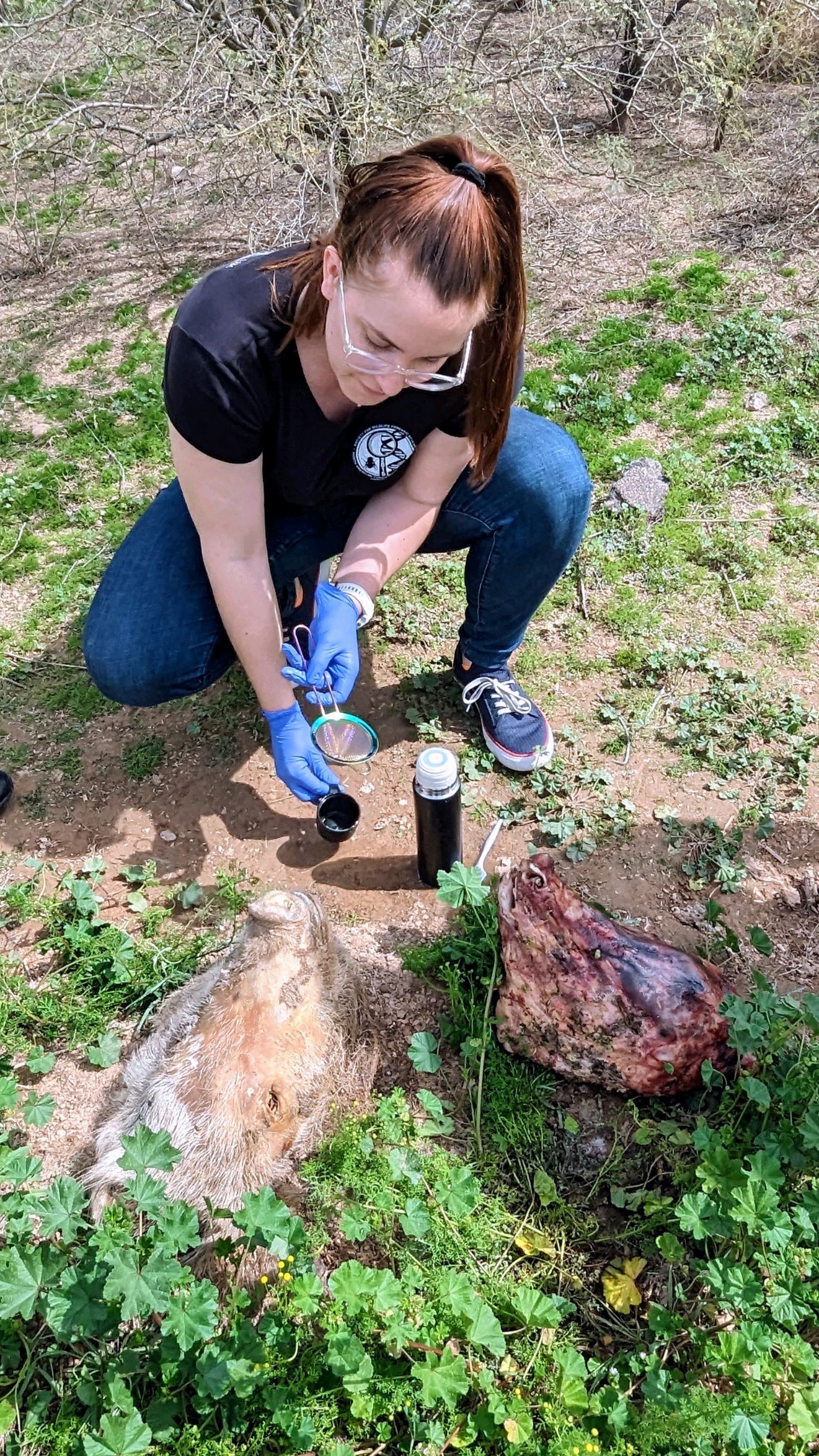 Weidner Lab research
